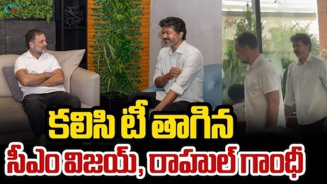 CM Vijay Rahul Gandhi Coffee: తమిళనాడు సీఎం విజయ్‌తో రాహుల్ గాంధీ సమావేశం..కీలకంగా మారిన కాఫీ మీటింగ్!