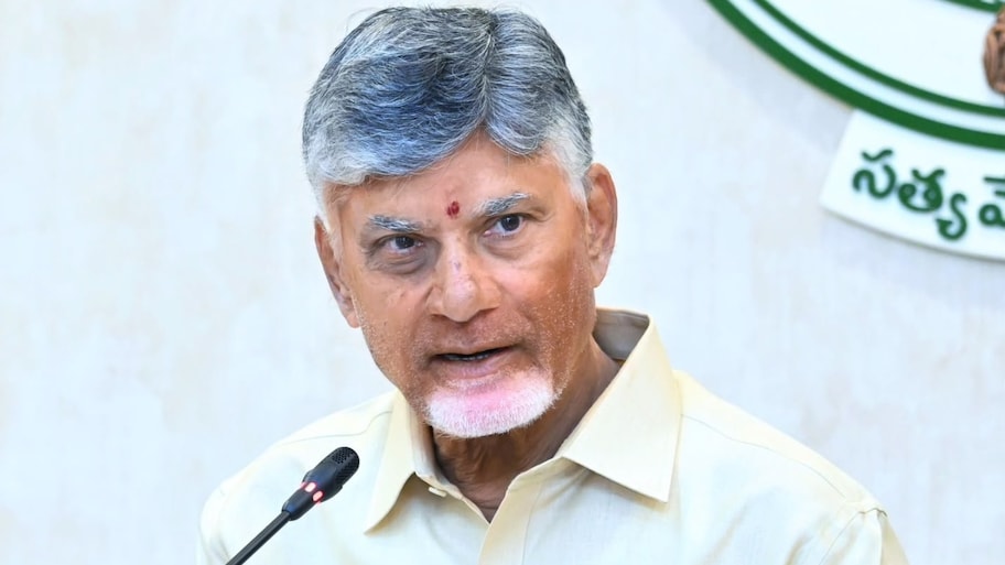 Chandrababu: గెలిచే అభ్యర్థులకు సీట్లు ఇస్తాం.. టీడీపీ నాయకత్వానికి చంద్రబాబు దిశానిర్దేశం