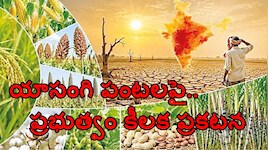 తెలంగాణలో ఎల్‌నినో దెబ్బ.. తీవ్ర సాగు, తాగునీటి ఎద్దడి.. యాసంగి పంటలపై ప్రభుత్వం కీలక ప్రకటన!