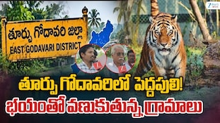 Tiger Spotted East Godavari: ఊర్లో పెద్దపులి సంచారం..నాలుగు రోజులుగా కంటిమీద కునుకే లేదు!