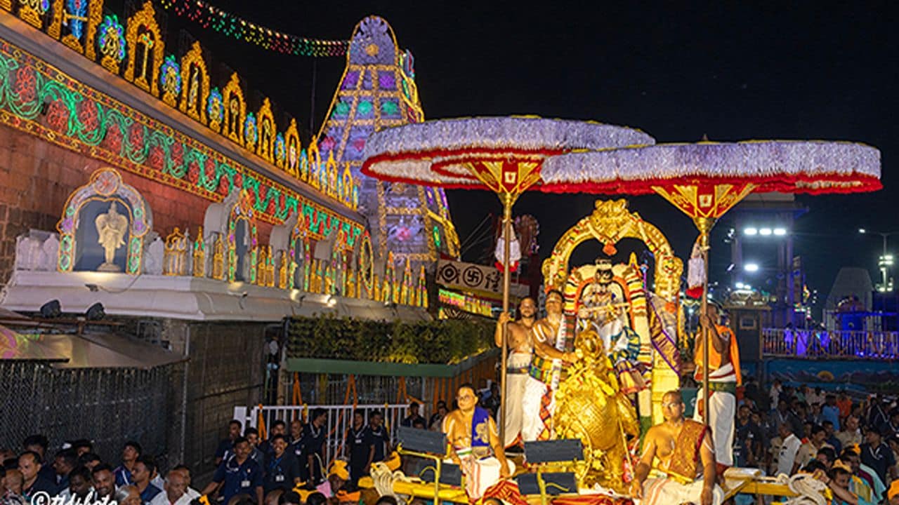 Lord Malayappa Swamy Veena Look