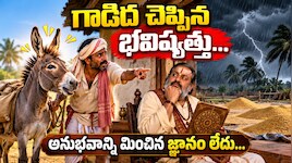 గాడిద చెప్పిన భవిష్యత్తు...అనుభవాన్ని మించిన జ్ఞానం లేదు అని చెబుతున్న నీతి కథ..!!