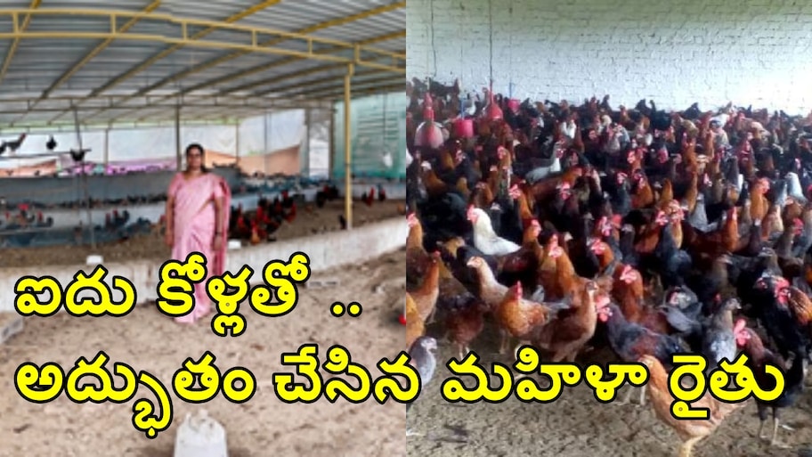 ఆడవాళ్లు అనుకుంటే సాధించలేనిది లేదు..5 కోళ్లతో మొదలై.. నెలకు రూ. 1.91 లక్షల బిజినెస్ సామ్రాజ్యం..!