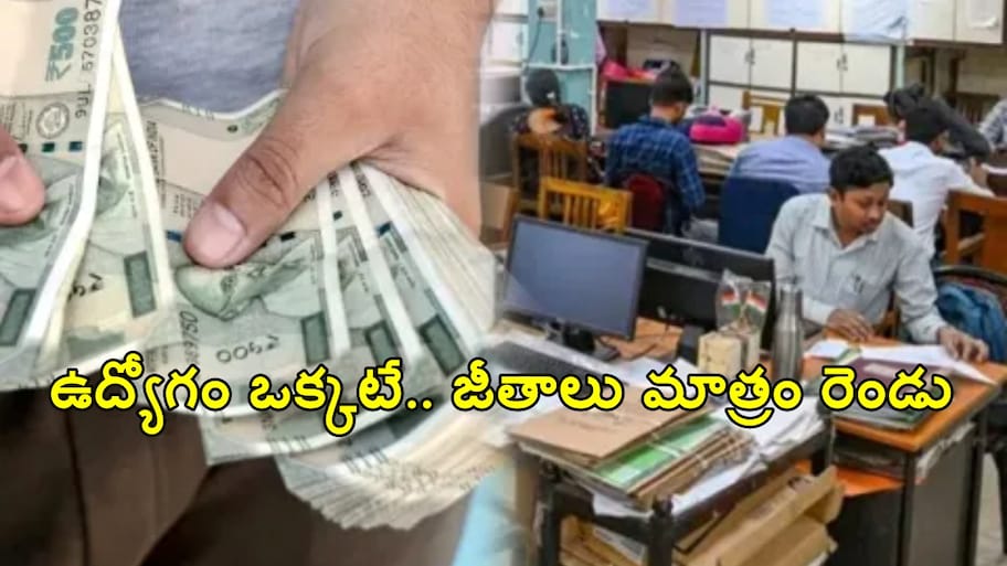 ఒకే మహిళ.. రెండు ప్రభుత్వ ఉద్యోగాలు..  ఆధార్ లింకింగ్‌తో దొరికిపోయిందిలా..!!
