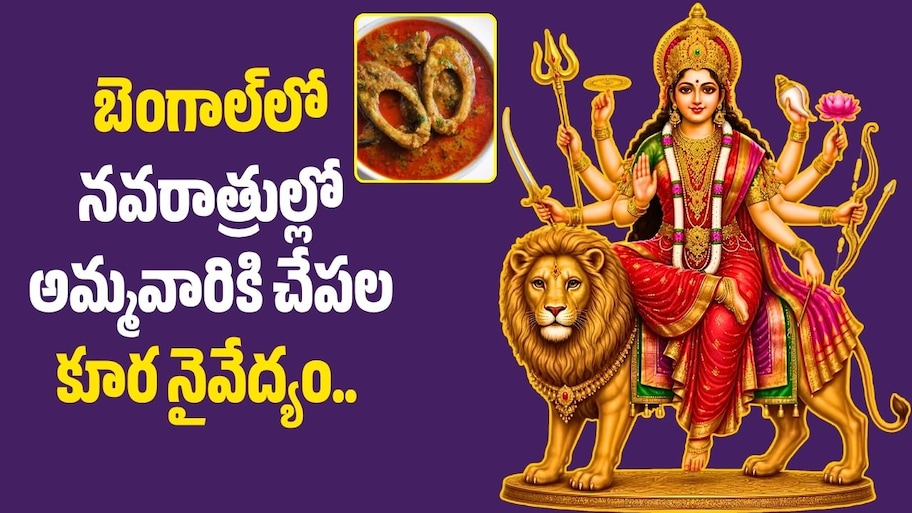 బెంగాల్‌లో నవరాత్రుల్లో అమ్మవారికి చేపల కూర నైవేద్యం.. అసలు కథ ఇదేనా?