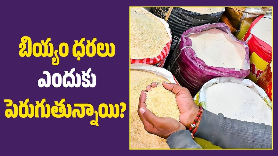 వరి దిగుబడులు బాగున్నా.. బియ్యం ధరలు ఎందుకు పెరుగుతున్నాయి?
