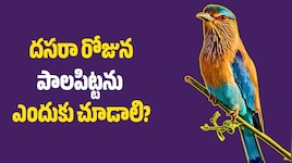 దసరా రోజున పాలపిట్టను ఎందుకు చూడాలి? శివుడితో సంబంధం ఏంటి?