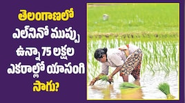 తెలంగాణలో ఎల్‌నినో ముప్పు ఉన్నా 75 లక్షల ఎకరాల్లో యాసంగి సాగు?