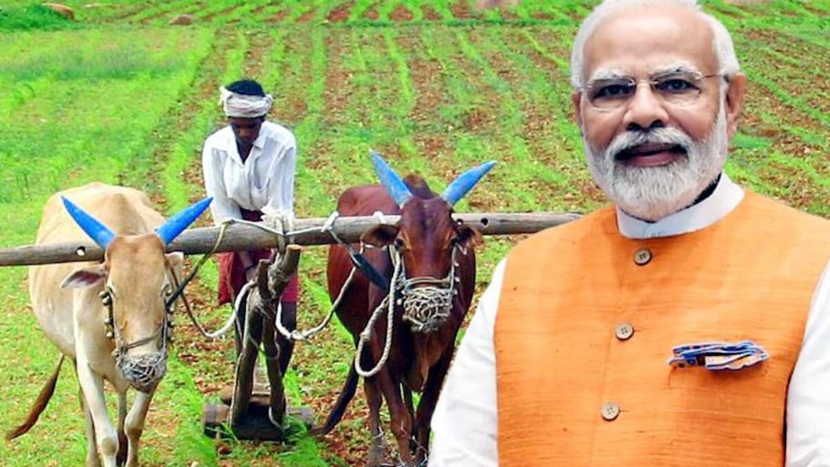దీపావళికి ముందే రైతుల ఖాతాల్లోకి రూ.2,000? 24వ విడత సొమ్ము వచ్చేది వారికే!