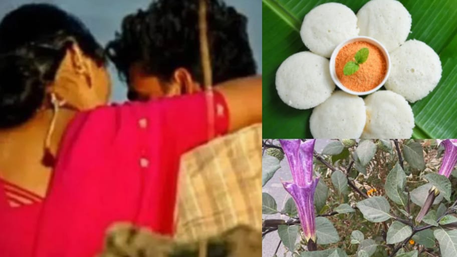 Karnataka: వామ్మో..యూట్యూబ్ చూసి భర్త హత్యకు స్కెచ్..ఇడ్లీలో ఉమ్మెత్త పొడి కల్పి మరీ దారుణం.!.