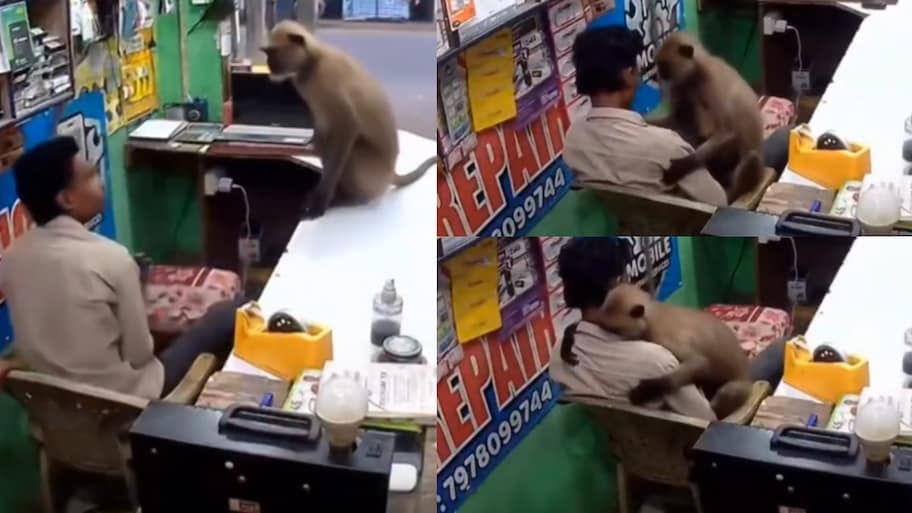 Video Viral: ఒడిశాలో అరుదైన దృశ్యం.. షాపు ఓనర్‌ను ప్రేమతో హత్తుకున్న కొండ ముచ్చు.. వీడియో..