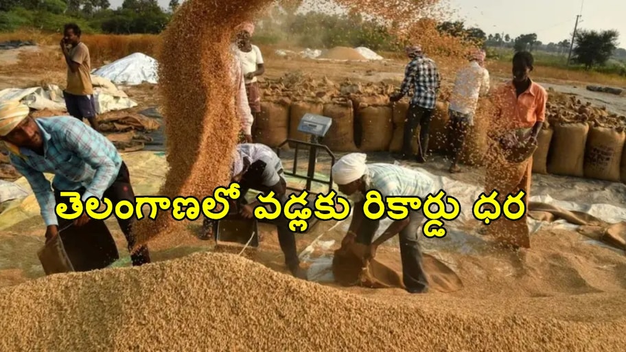 తెలంగాణలో వడ్లకు చరిత్రాత్మక ధర.. క్వింటాల్‌కు ఏకంగా రూ.5,000 దాటిన  రేటు..!!