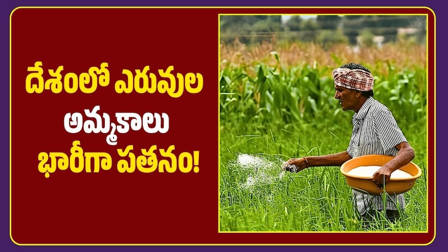 ఎల్నినో ఎఫెక్ట్‌.. దేశంలో ఎరువుల అమ్మకాలు భారీగా పతనం!