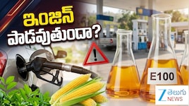 E100 ఫ్యూయల్‌కు కేంద్రం గ్రీన్ సిగ్నల్.. పాత, కొత్త కార్లపై ఎఫెక్ట్ ఉంటుందా..? అసలు నిజాలు ఇవే..!