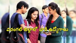 వరంగల్ జిల్లా ఆయూష్ మిషన్‎లో ఖాళీల భర్తీకి నోటిఫికేషన్..!!