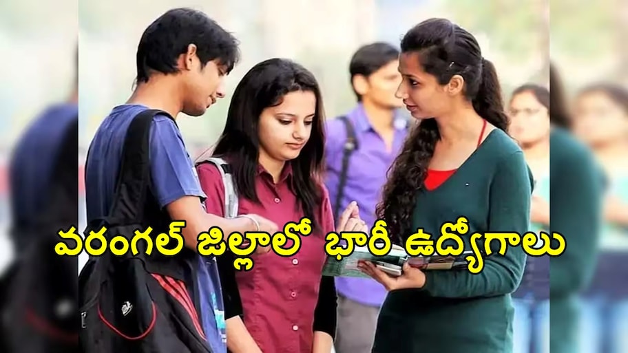 వరంగల్ జిల్లా ఆయూష్ మిషన్‎లో ఖాళీల భర్తీకి నోటిఫికేషన్..!!