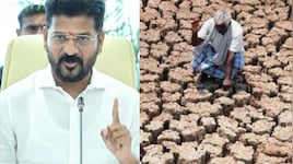 TG Drought Mandals: తెలంగాణలో ఎల్ నినో ప్రభావం వేళ.. కరువు మండలాలను ప్రకటించిన సీఎం రేవంత్ ప్రభుత్వం..