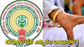 MPTC ZPTC Elections Postponement: ఏపీలో అర్నాబ్ తుఫాను బీభత్సం వేళ ఎంపీటీసీ, జడ్పీటీసీ ఎన్నికల వాయిదా? ఎస్ఈసీ నిర్ణయం ఇదే!