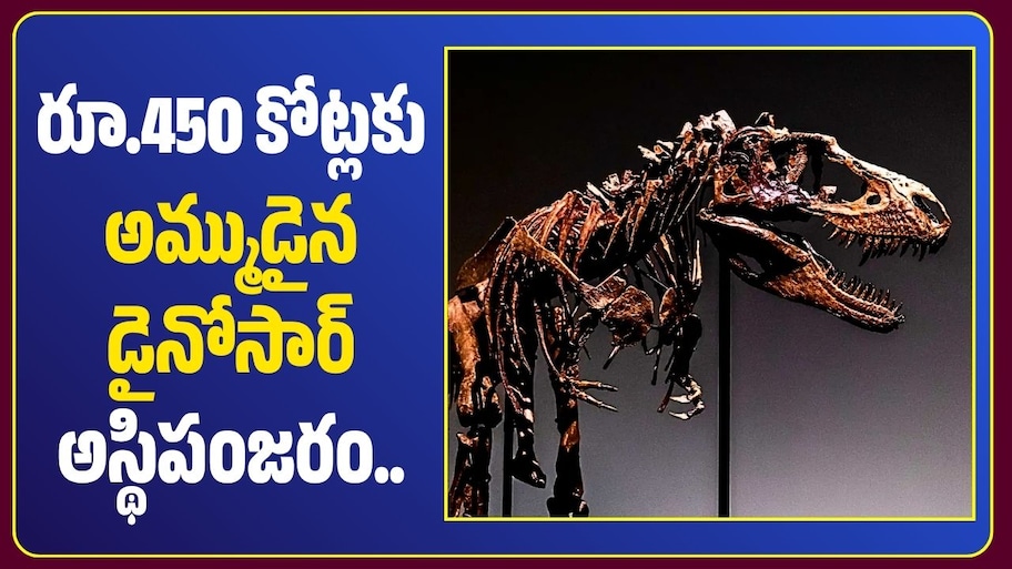 రూ.450 కోట్లకు అమ్ముడైన డైనోసార్ అస్థిపంజరం.. ఇంత ధర పలకడానికి అసలు కారణాలివే!