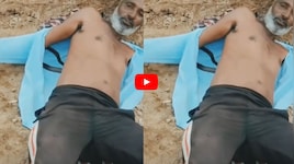 రైతు చొక్కాలోకి దూరిన నాగుపాము పిల్ల.. వీడియో ఇదే..