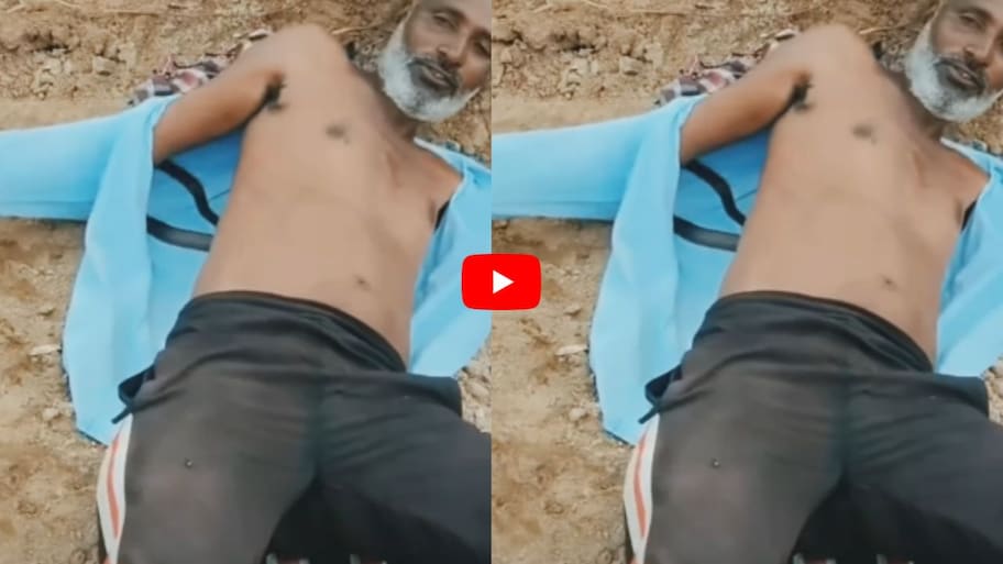 రైతు చొక్కాలోకి దూరిన నాగుపాము పిల్ల.. వీడియో ఇదే..